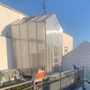 Palmhouse Midi 40 special WAMA 2011
